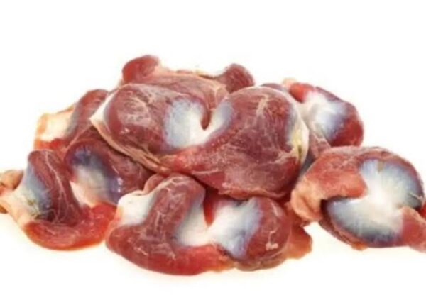 Turkey Gizzard