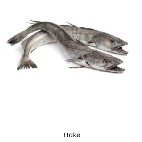 Hake Fish 1kg