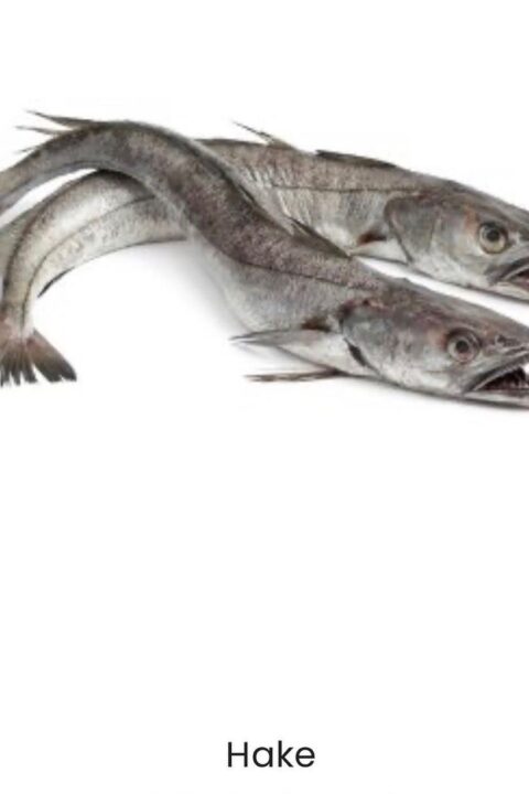 Hake Fish 1kg