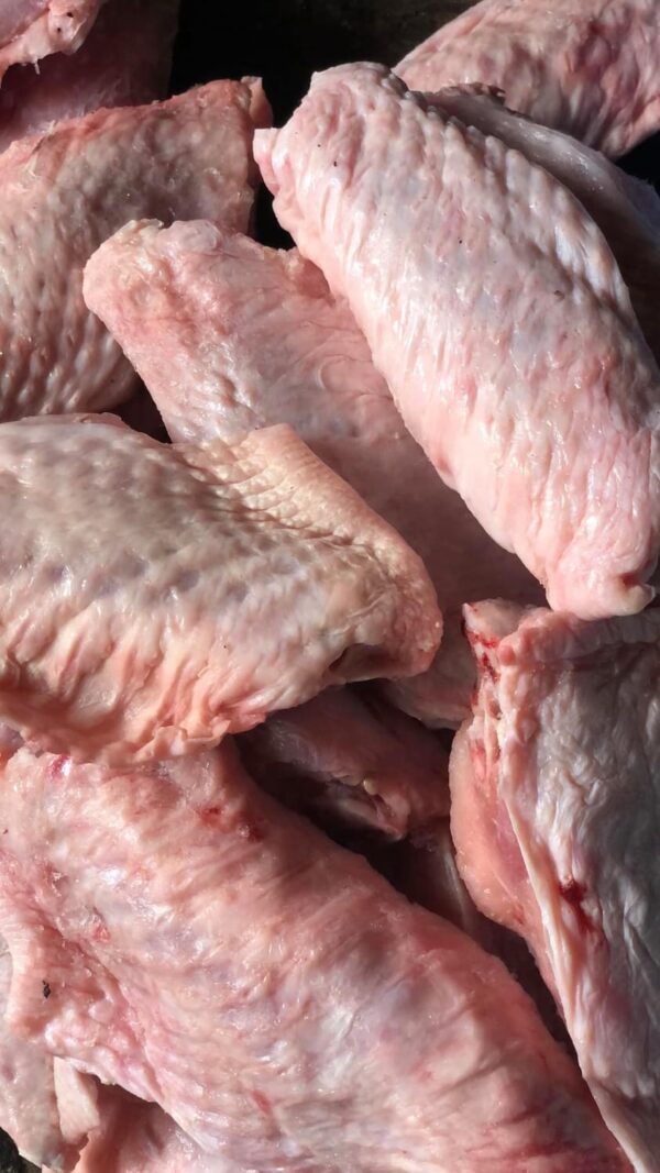 Turkey Wings ~ 10kg - Image 2