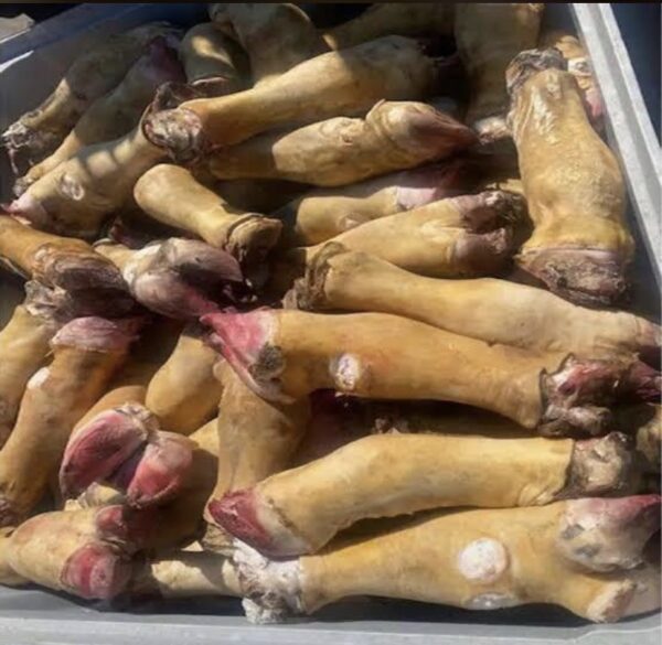 Cow Leg ~ 1cow leg