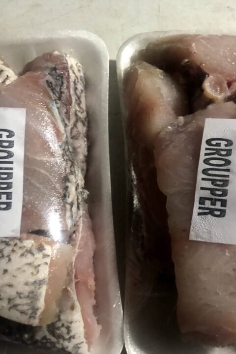 Grouper Fish Steak 1kg