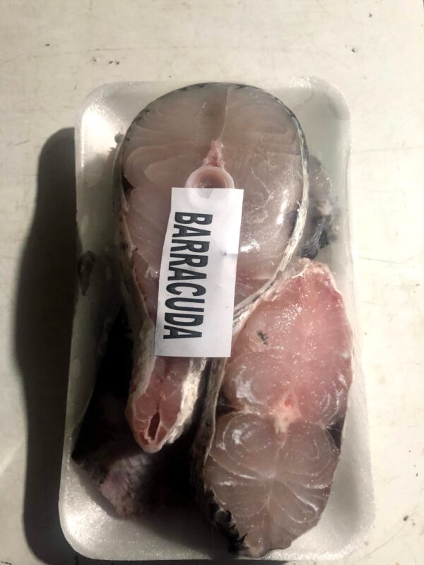 Barracuda Fish Stake 1kg