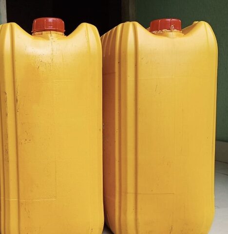 Deprince Palmoil  25litter