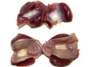 Chicken Gizzard 1kg