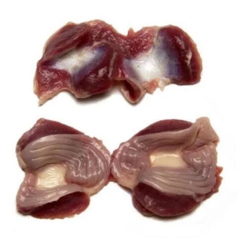 Chicken Gizzard 1kg