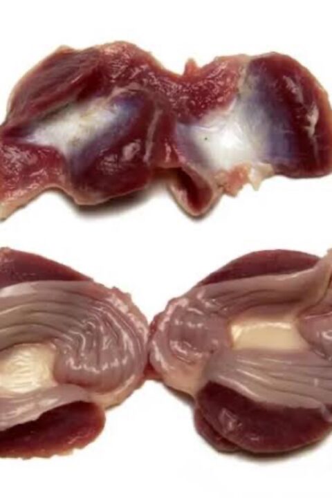 Chicken Gizzard 1kg