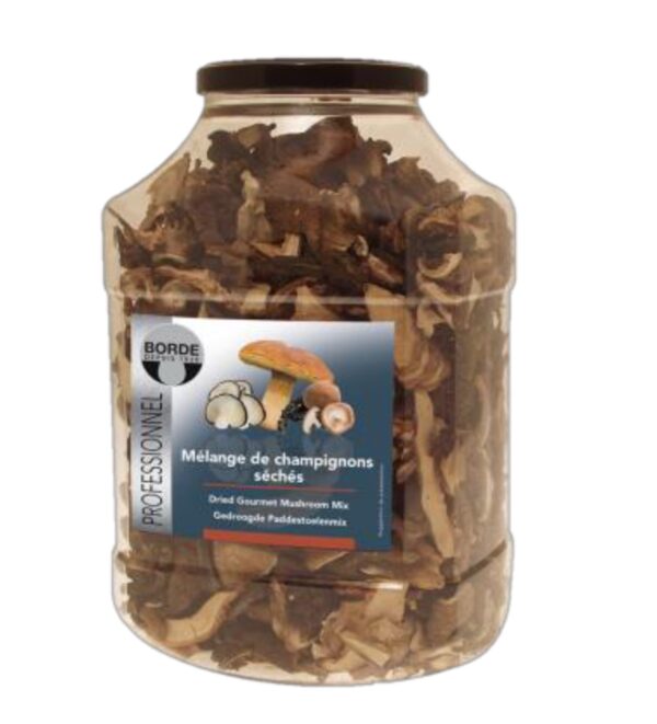 Dried forest mushroom mix 500gr - France