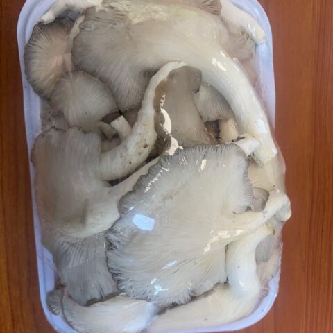Fresh Mushroom 300g