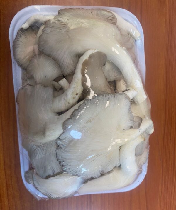 Fresh Mushroom 300g